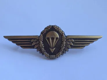 Bundeswehr Springerabzeichen bronze